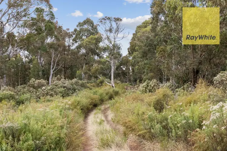Third view of Homely rural property listing, 1013 Bigga Road, Crookwell NSW 2583