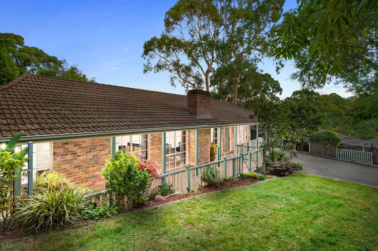 Main view of Homely house listing, 16 Nalinga Court, Warranwood VIC 3134