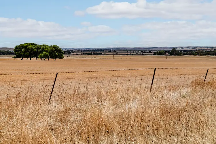 Fourth view of Homely rural property listing, 'Moorefield' Jones Road, Redhill SA 5521