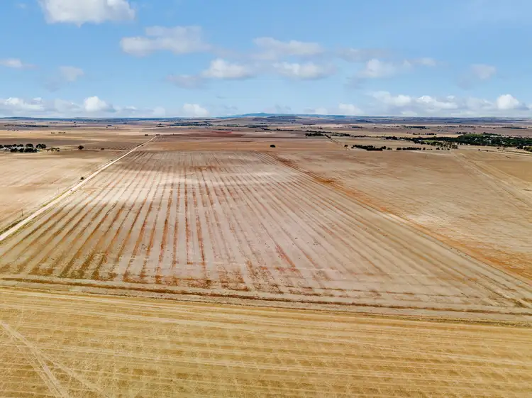 Sixth view of Homely rural property listing, 'Moorefield' Jones Road, Redhill SA 5521