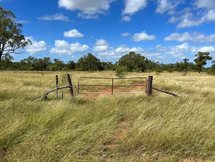 Seventh view of Homely rural property listing, 303 Lavery Road, Dotswood QLD 4820