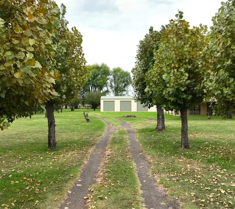 Fifth view of Homely rural property listing, 38 Dibley Road, Glen Innes NSW 2370