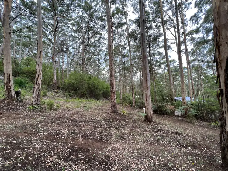 Third view of Homely land listing, 8 Adams Road, Denmark WA 6333