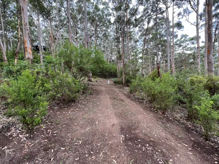Fifth view of Homely land listing, 8 Adams Road, Denmark WA 6333