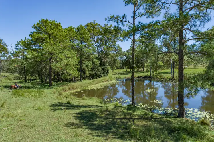 Second view of Homely rural property listing, 1055 Noosa Road, Mothar Mountain QLD 4570