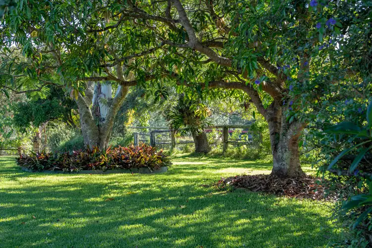Fourth view of Homely rural property listing, 1055 Noosa Road, Mothar Mountain QLD 4570