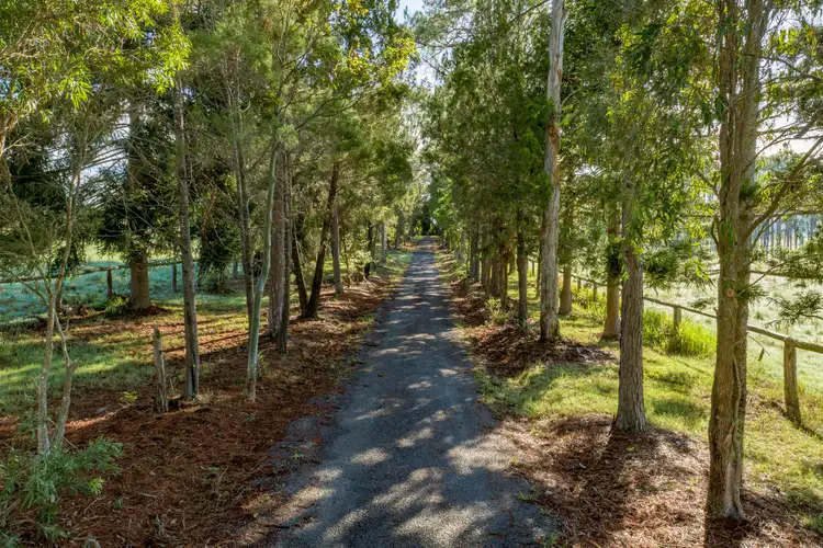 Fifth view of Homely rural property listing, 1055 Noosa Road, Mothar Mountain QLD 4570