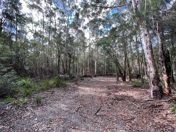 Fourth view of Homely rural property listing, 71 Karri Drive, Kentdale WA 6333