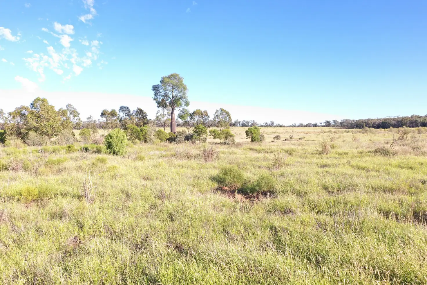 Main view of Homely rural property listing, 5273 Landsborough Highway, Clara Creek QLD 4468