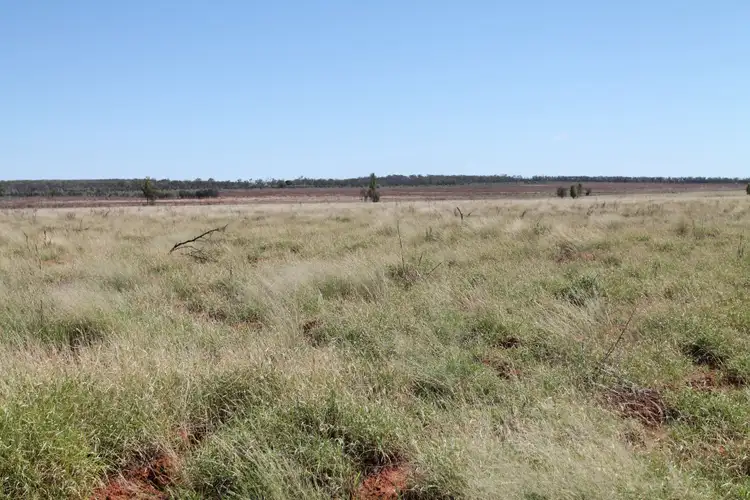 Seventh view of Homely rural property listing, 5273 Landsborough Highway, Augathella QLD 4477