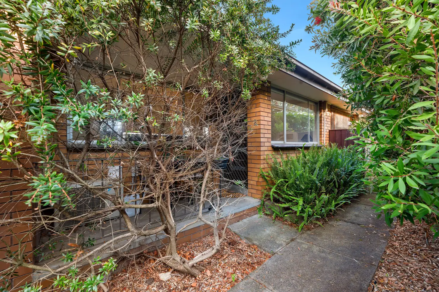 Main view of Homely house listing, 3/160 Junction Road, Nunawading VIC 3131