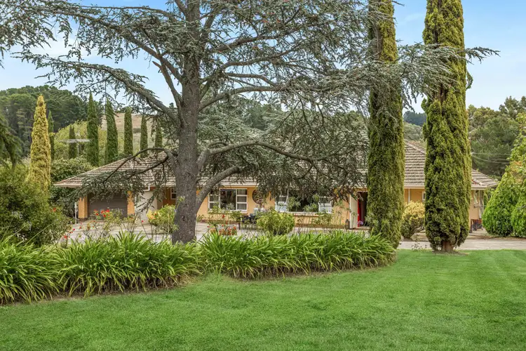 746 Swamp Road, Lenswood SA 5240