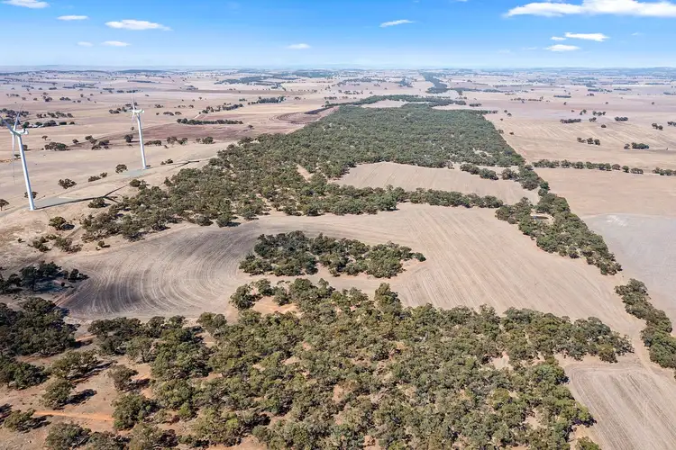 Second view of Homely land listing, Lot 1 Whyte Park Road, Steelton SA 5413