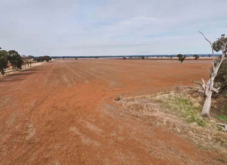Fourth view of Homely rural property listing, . Corner Myola Road and Rochester Road, Cornella VIC 3551