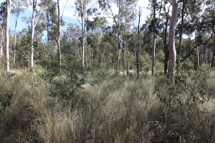 Fifth view of Homely rural property listing, Lot A Forestry Road, Gurgeena QLD 4626