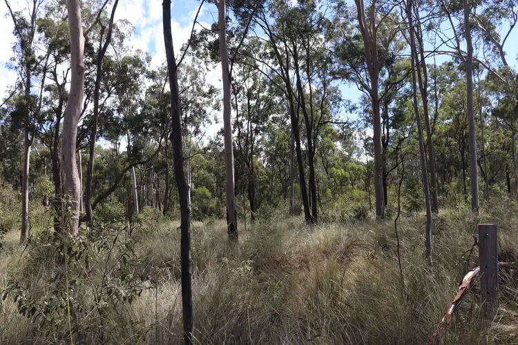 Sixth view of Homely rural property listing, Lot A Forestry Road, Gurgeena QLD 4626