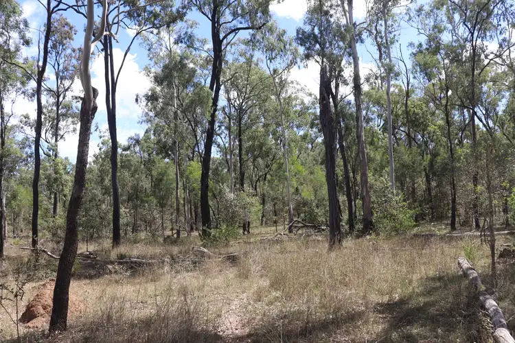 Seventh view of Homely rural property listing, Lot A Forestry Road, Gurgeena QLD 4626