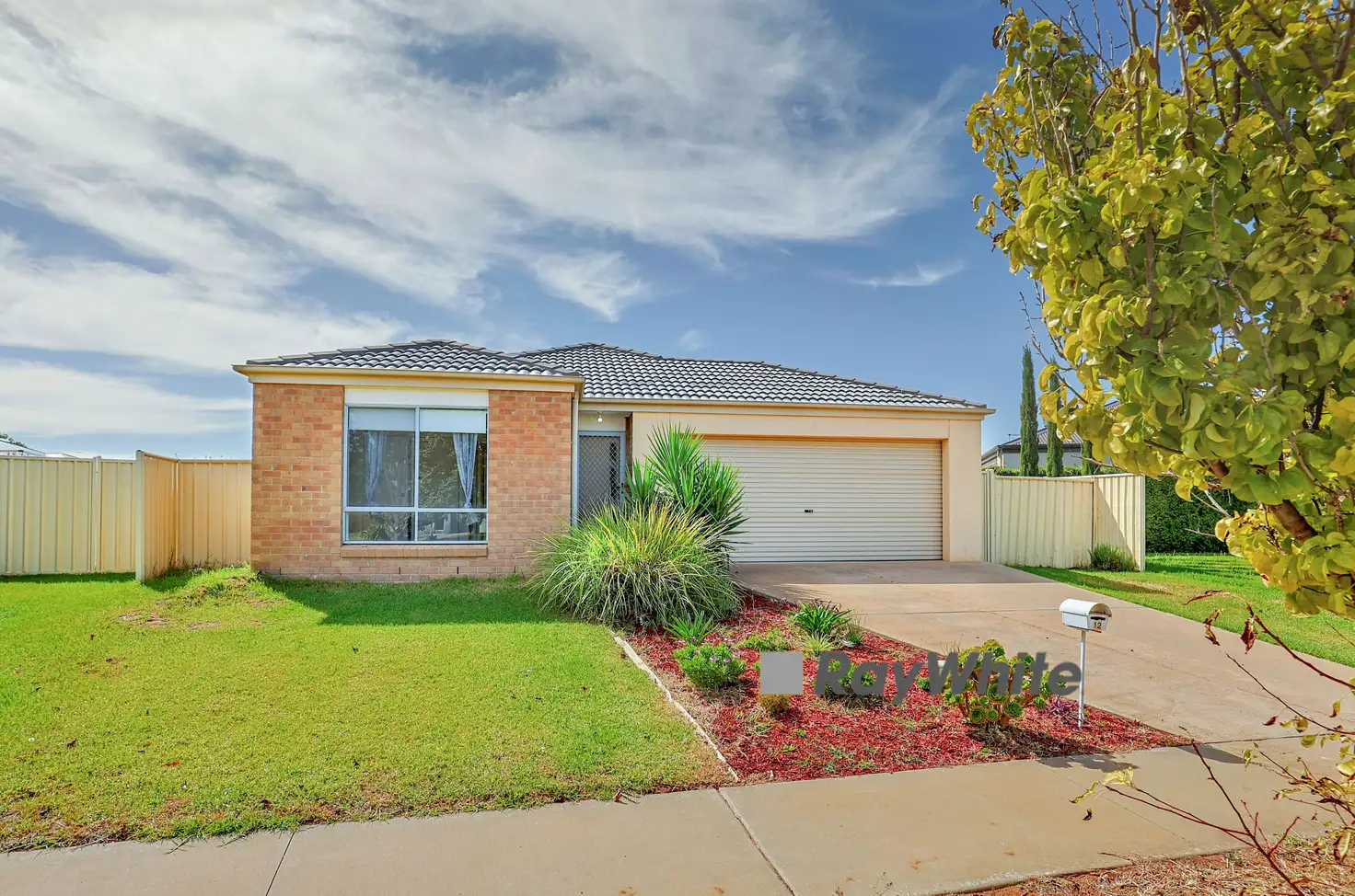 Main view of Homely house listing, 12 Immacolata Rise, Red Cliffs VIC 3496