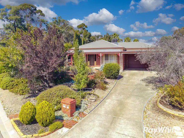 6 Adam Court, Strathdale VIC 3550