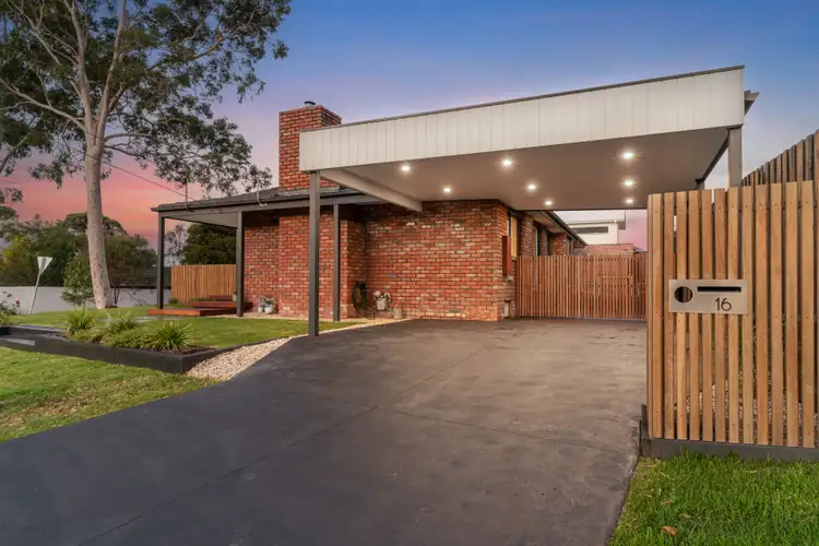 Third view of Homely house listing, 16 Elm Grove, Langwarrin VIC 3910