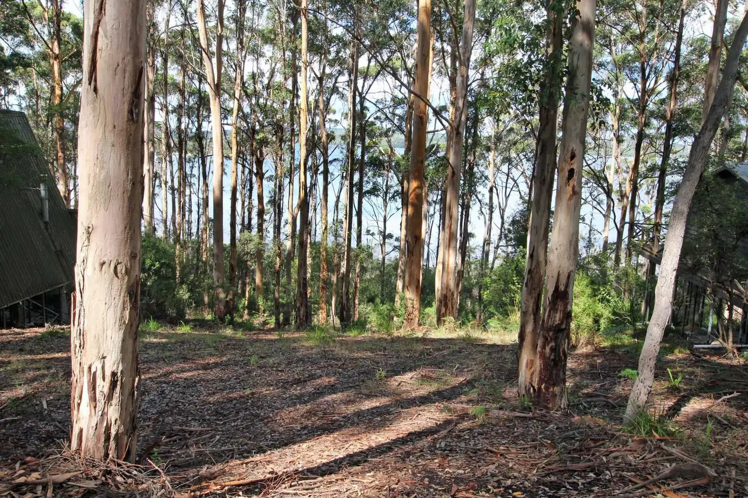 Main view of Homely land listing, 23 Payne Road, Denmark WA 6333