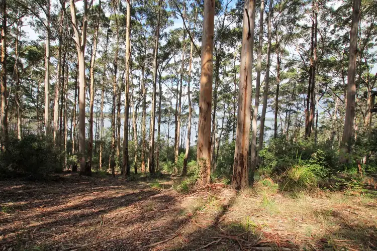 Third view of Homely land listing, 23 Payne Road, Denmark WA 6333