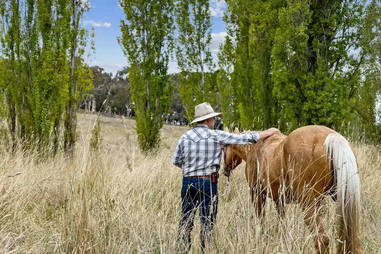 Fifth view of Homely house listing, "The Ranch" 42 Casey Close, Sutton NSW 2620