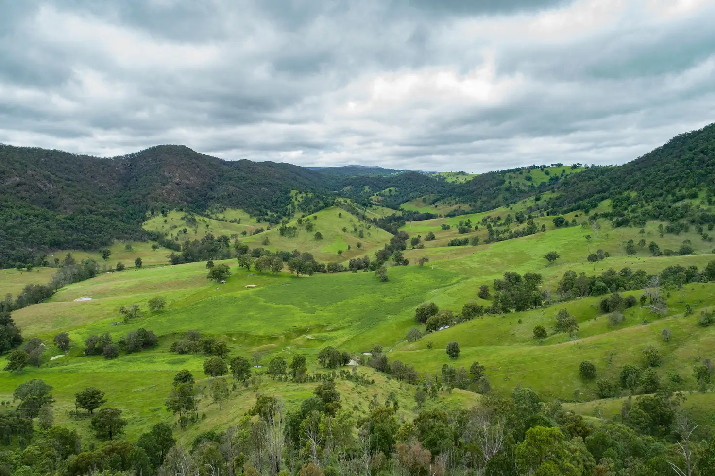 Main view of Homely rural property listing, 10201 Bruxner Highway, Tenterfield NSW 2372