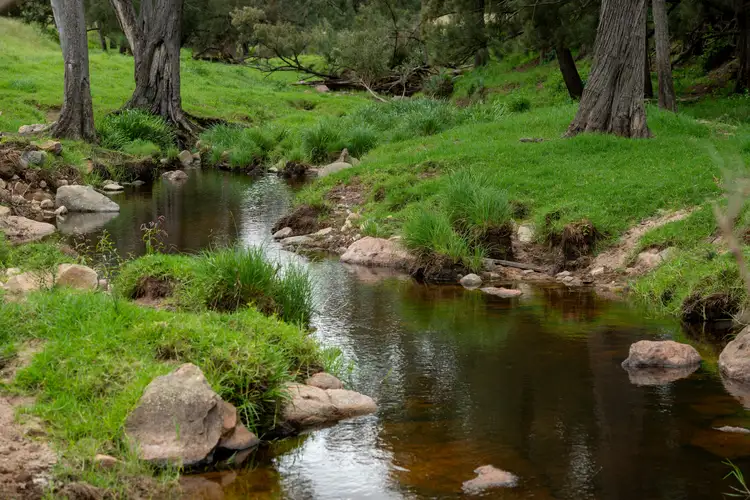 Seventh view of Homely rural property listing, 10201 Bruxner Highway, Tenterfield NSW 2372