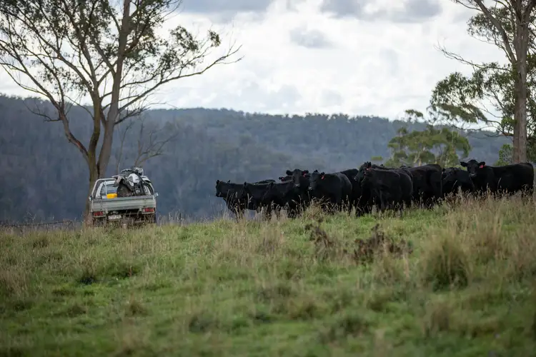 Third view of Homely rural property listing, 488 Guyra Road, Ebor NSW 2453