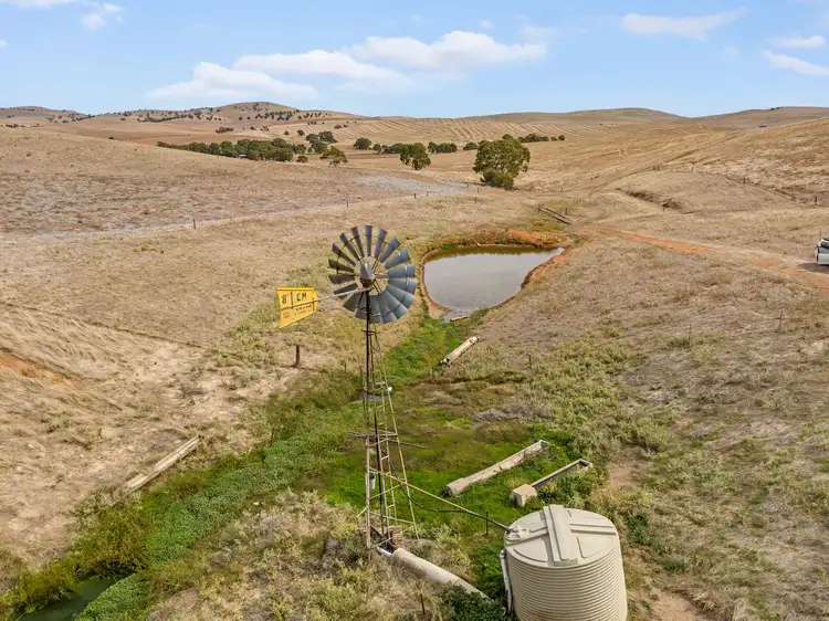 Third view of Homely rural property listing, 'Maxwells' Pattersons Road, West Bundaleer SA 5491