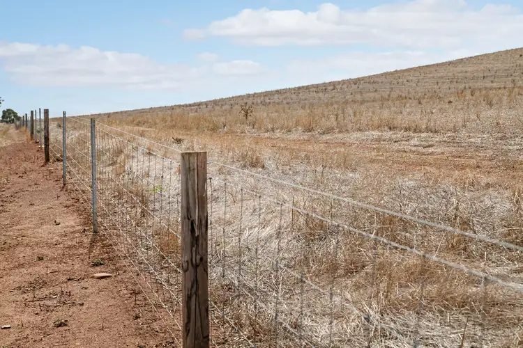 Fifth view of Homely rural property listing, 'Maxwells' Pattersons Road, West Bundaleer SA 5491