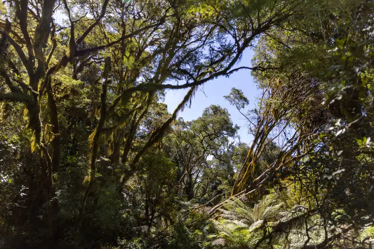 Third view of Homely rural property listing, 1 Redlands Road, Hernani NSW 2453