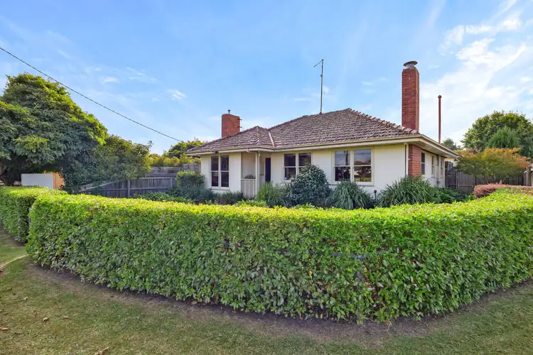 Main view of Homely house listing, 113 Callow Street, Ballarat East VIC 3350