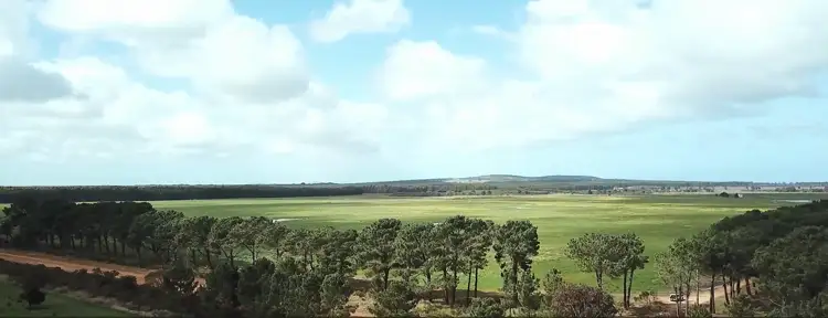 Rancho X, Merivale Road