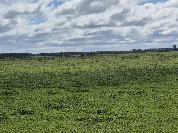 Fourth view of Homely rural property listing, Rancho X, Merivale Road, Condingup WA 6450