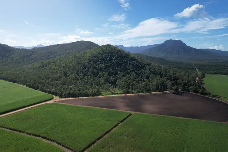 Third view of Homely rural property listing, Lot 6 Broadwater Park Road, Dalrymple Creek QLD 4850