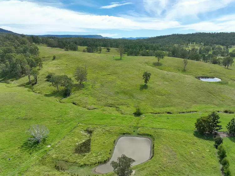 Main view of Homely rural property listing, 484 Pigman Road, Dyraaba NSW 2470