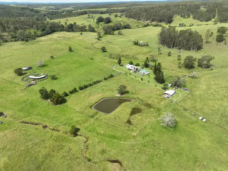 Third view of Homely rural property listing, 484 Pigman Road, Dyraaba NSW 2470