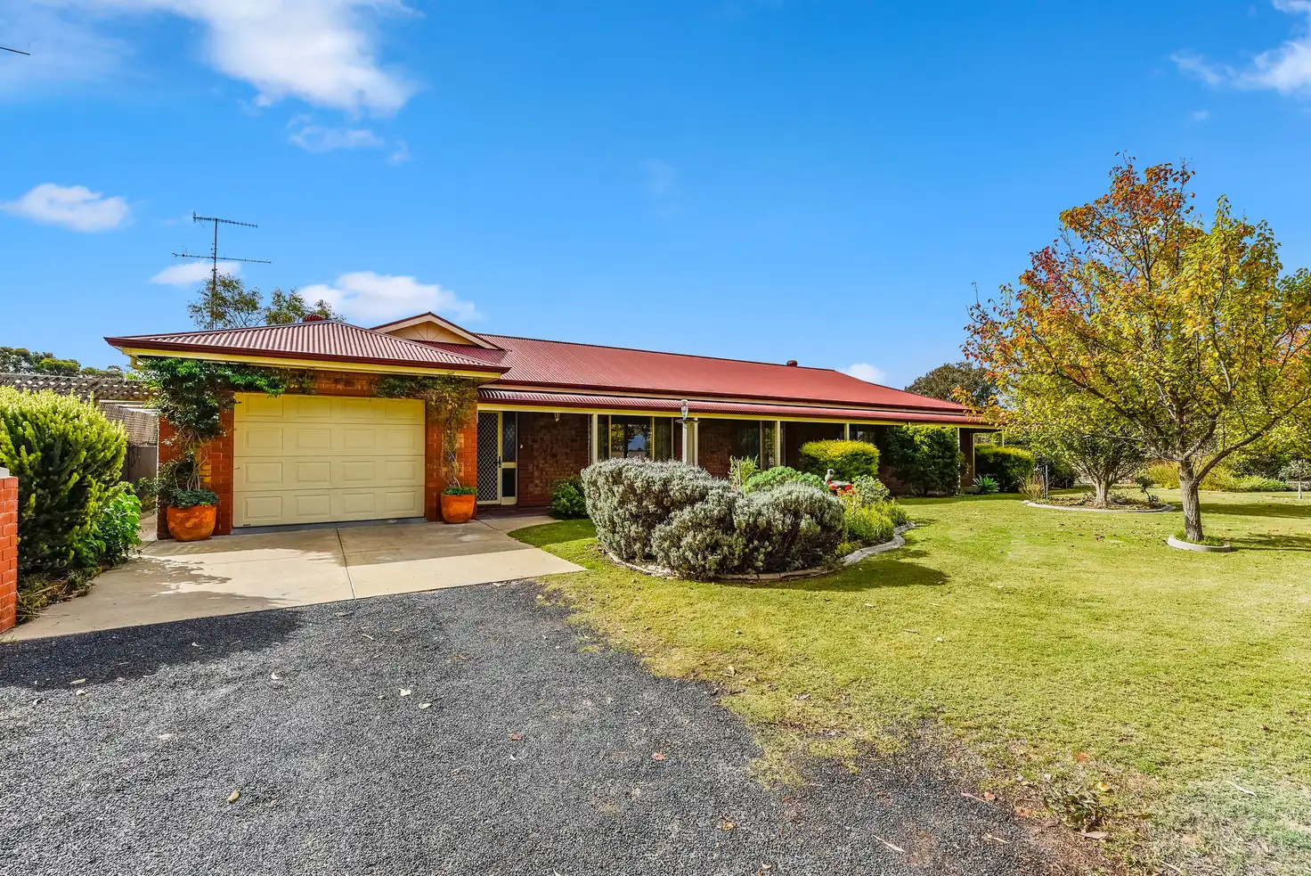 Main view of Homely house listing, 209 South Avenue, Bordertown SA 5268