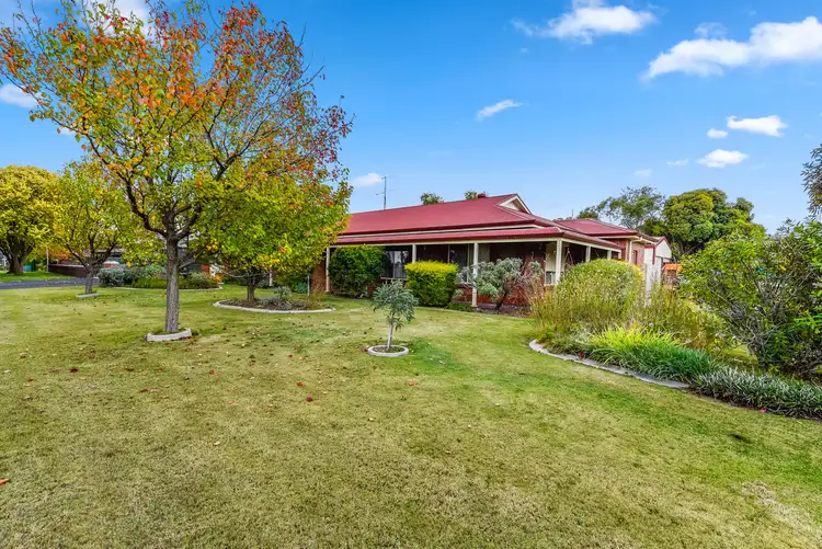 Fifth view of Homely house listing, 209 South Avenue, Bordertown SA 5268