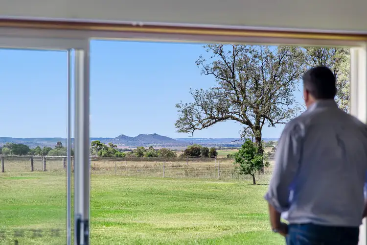 339 Biddeston Southbrook Road, Biddeston QLD 4401
