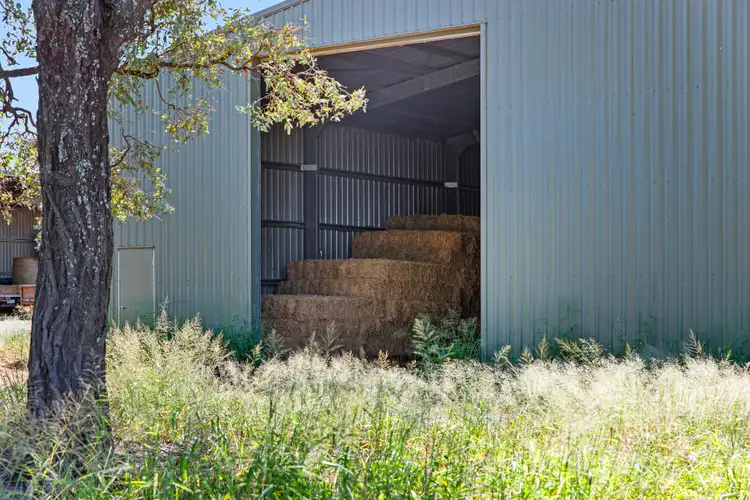 Sixth view of Homely rural property listing, 339 Biddeston Southbrook Road, Biddeston QLD 4401