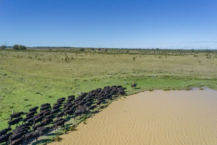 Second view of Homely rural property listing, 0 Owens Scrub Road, Tummaville QLD 4352