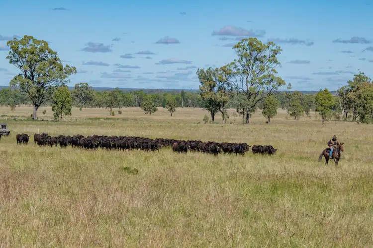 Fifth view of Homely rural property listing, 0 Owens Scrub Road, Tummaville QLD 4352