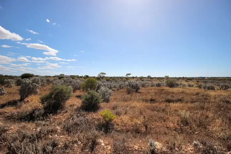 Fourth view of Homely land listing, Sec 308 Ring Road, Morgan SA 5320