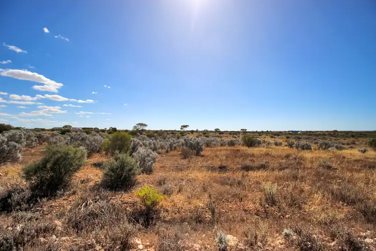 Fifth view of Homely land listing, Sec 308 Ring Road, Morgan SA 5320