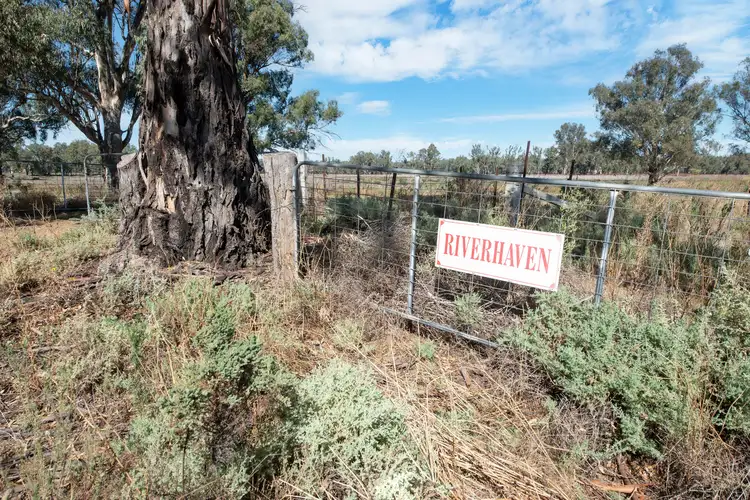 Second view of Homely rural property listing, 767 Koraleigh Road, Koraleigh NSW 2735
