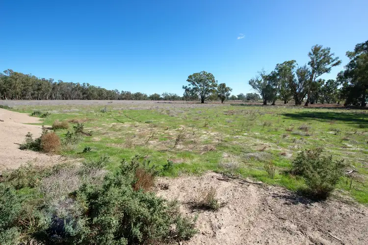 Fourth view of Homely rural property listing, 767 Koraleigh Road, Koraleigh NSW 2735