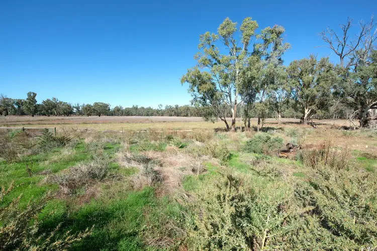 Fifth view of Homely rural property listing, 767 Koraleigh Road, Koraleigh NSW 2735
